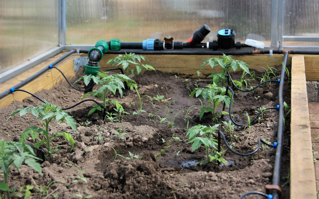 Автоматический полив в теплице