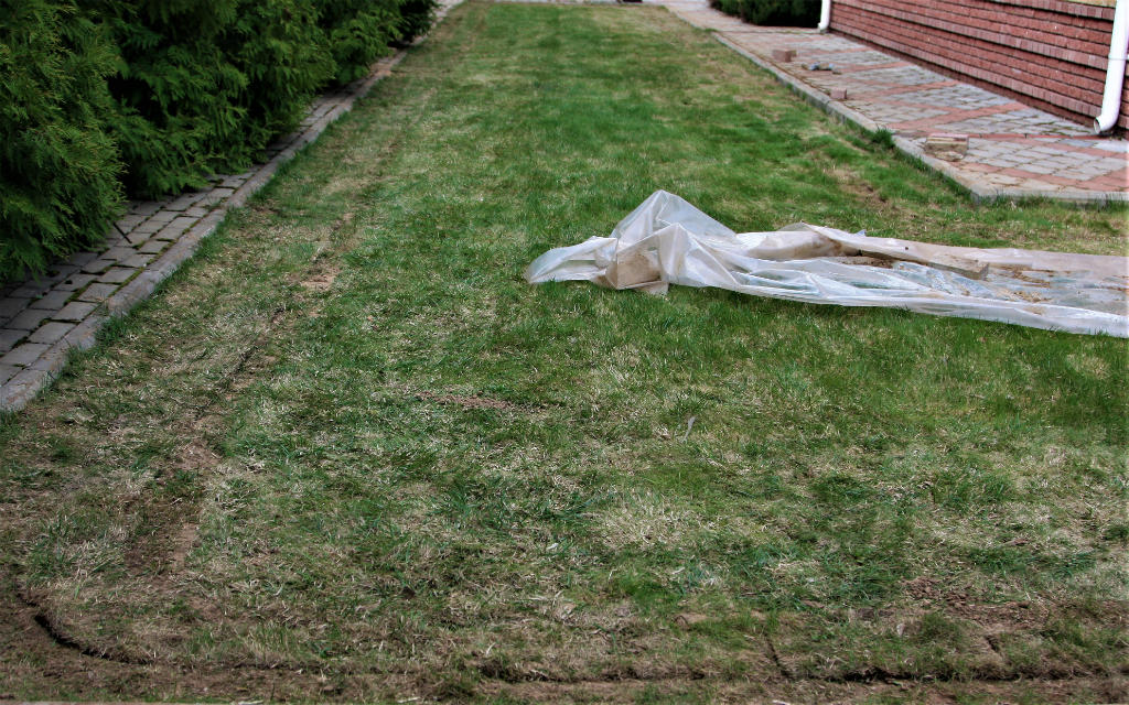 Газон без регулярного полива