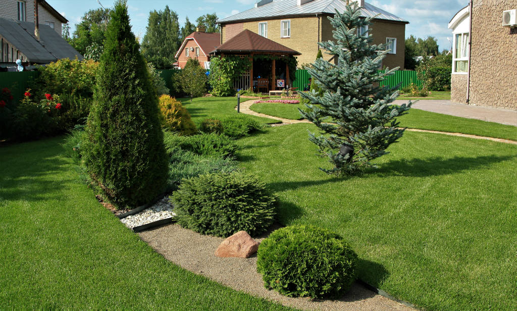 Красивые лужайки