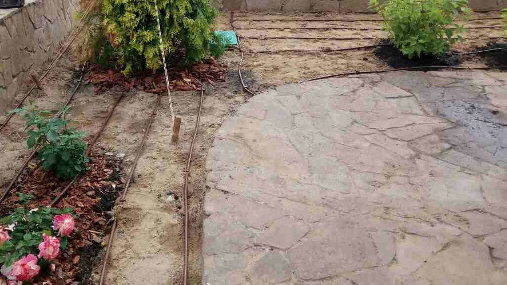 Капельный полив в саду